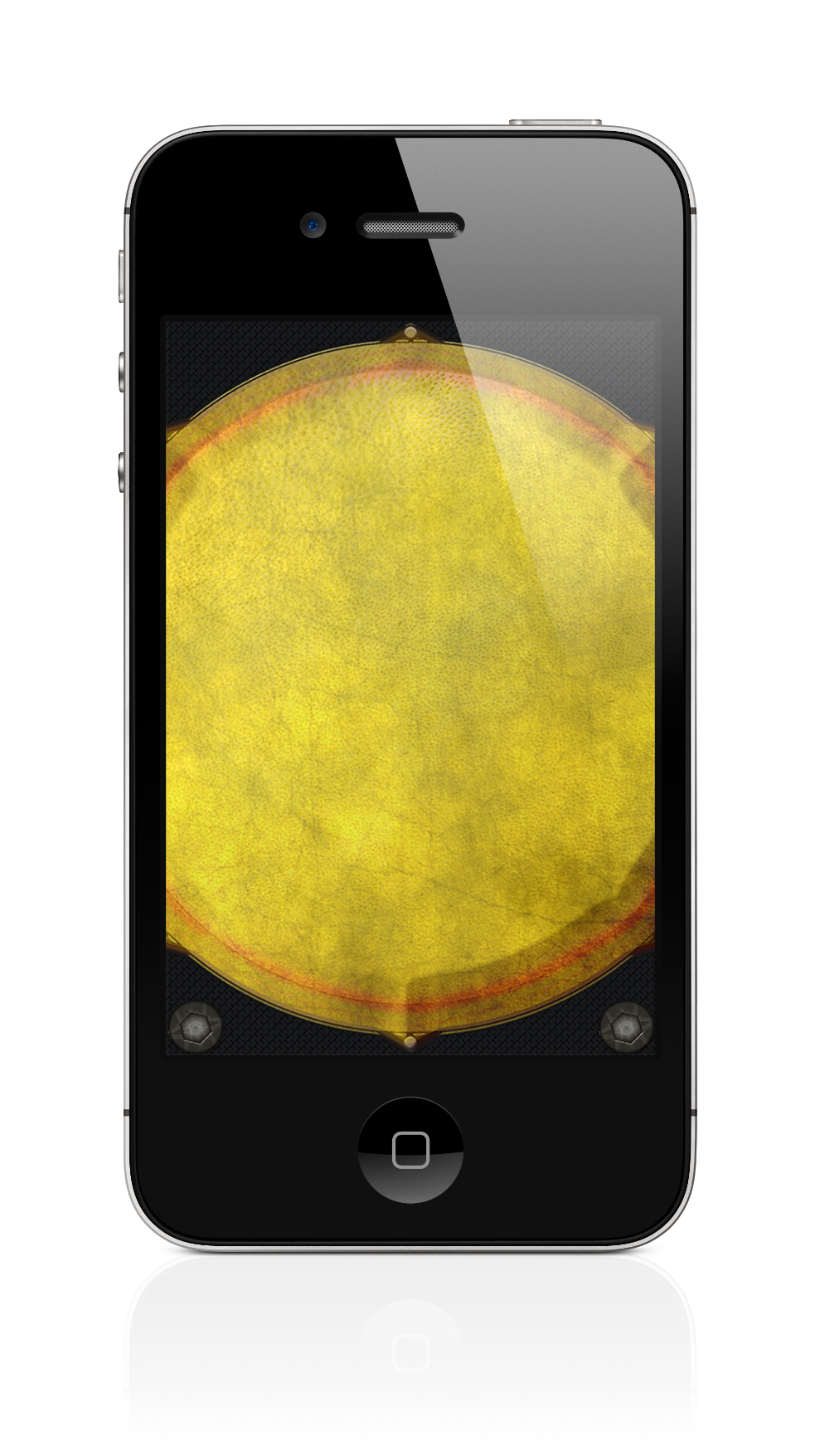 Djembe Drum iPhone Screenshot 1 of 2